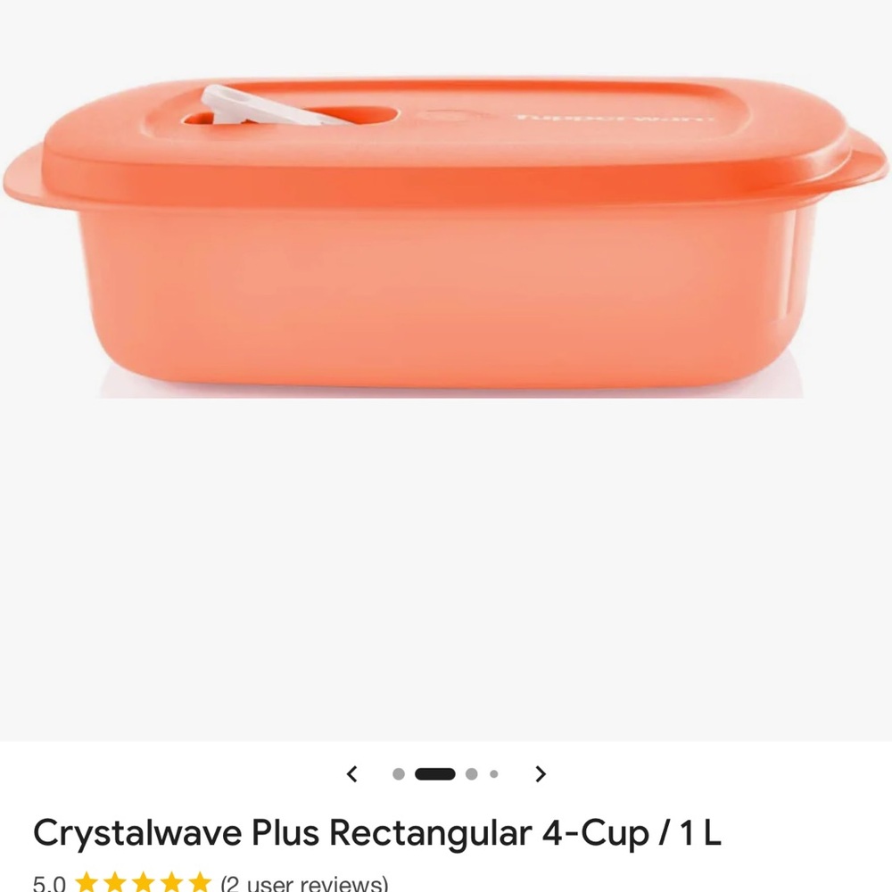 Tupperware Coral Rectangular Container